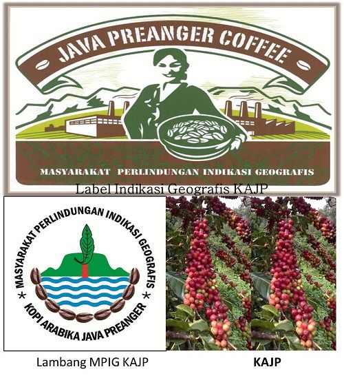 "Java Preanger", Kopi dari Tanah Priangan Halaman all - Kompasiana.com