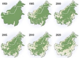 Laju deforestasi di Kalimantan. Sumber: Treehugger.com
