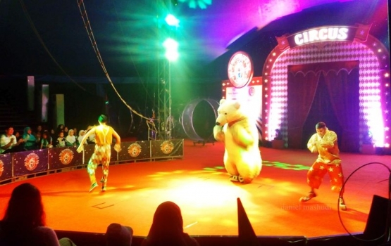 Kostum beruang kutub dalam atraksi the polar bear (dok. pribadi)
