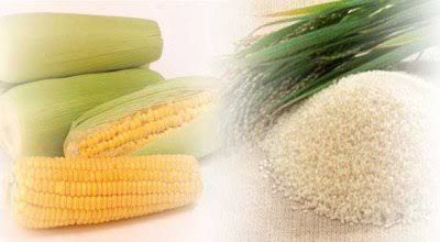 Ilustrasi pangan jagung dan beras. Credit: Hipwee
