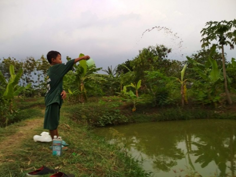 memberikan ikan gurame (dokpri)