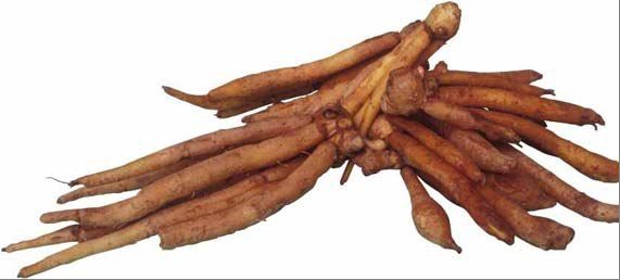 View Apa Itu Oyong Images