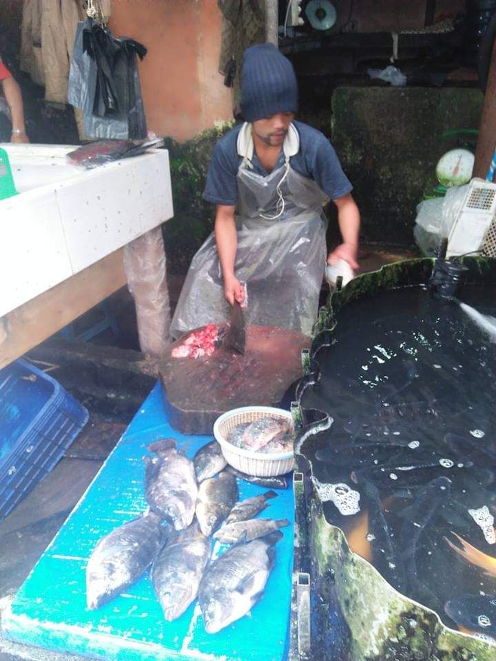 Penjual Ikan di Pusat Pasar Kabanjahe (dokpri)