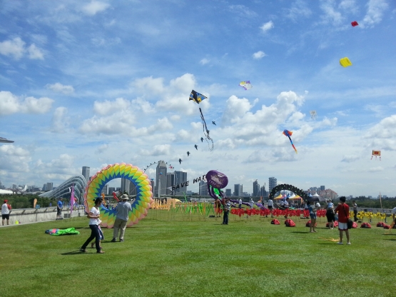 kite-festival-marina-barrage-5bfd14a4ab12ae4ef034bd34.jpg