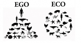 Apakah Ego kita yang sering mempermainkan Ekologi (bagian dari ekosistem) makhluk hidup?. Foto dok : Transitionconciousness.wordpress.com