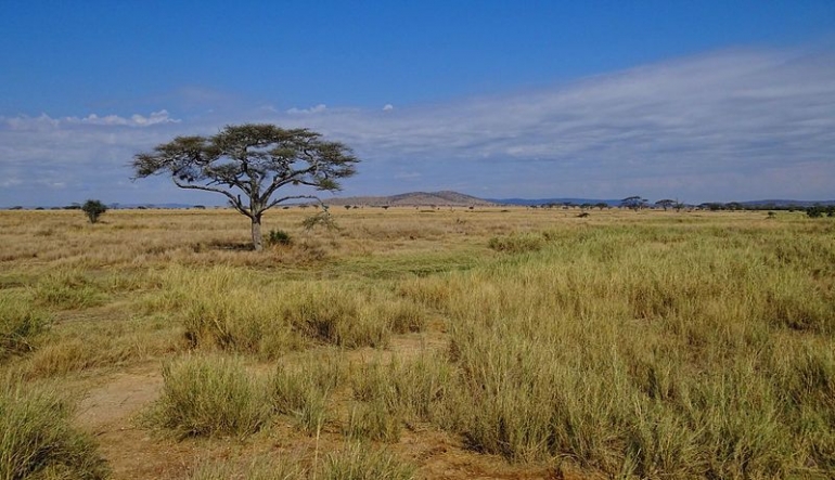 Taman Nasional Serengeti, Tanzania (windsurfaddicts.com)