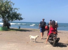 Menunggu Ombak Datang Di Pantai Kedungu