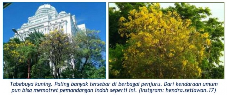 dok.pribadi