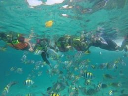 Snorkeling di Pulau Rubiah (Dok pribadi)