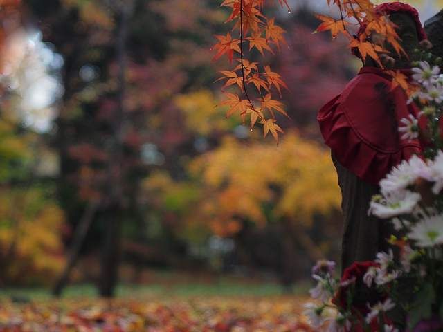 Ojizou-sama dan Momiji (Dokumentasi Pribadi)