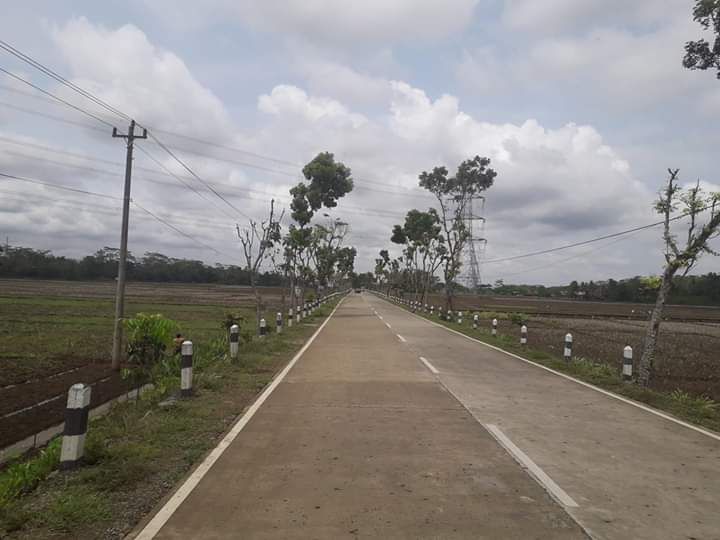 Jalan raya sepanjang desaku Sidareja arah Karang Pucung Jawa tengah