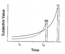 Grafik di atas adalah grafik yang menggambarkan Exponential Discount Function.