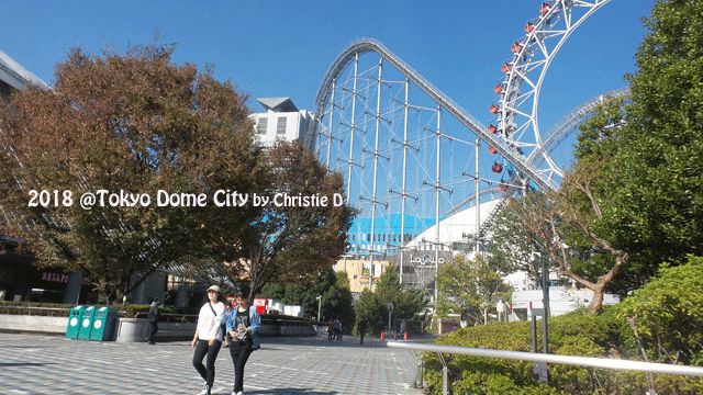 okumentasi pribadi                                           Dome raksasa, bersanding dengan roller coater dan bianglala raksasa, tempat bermain anak2 muda Tokyo .....