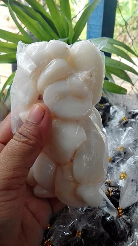 Berkah Buah Di Sarang Buaya Halaman All Kompasiana Com