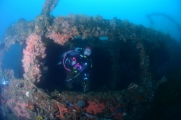 Foto oleh @hendradive, Duke Of Sparta, wreck - Salam dari Biota Laut Imut-imut Laha, Teluk Ambon 