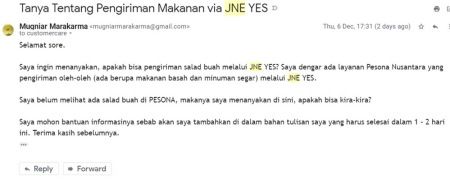 Email saya ke JNE