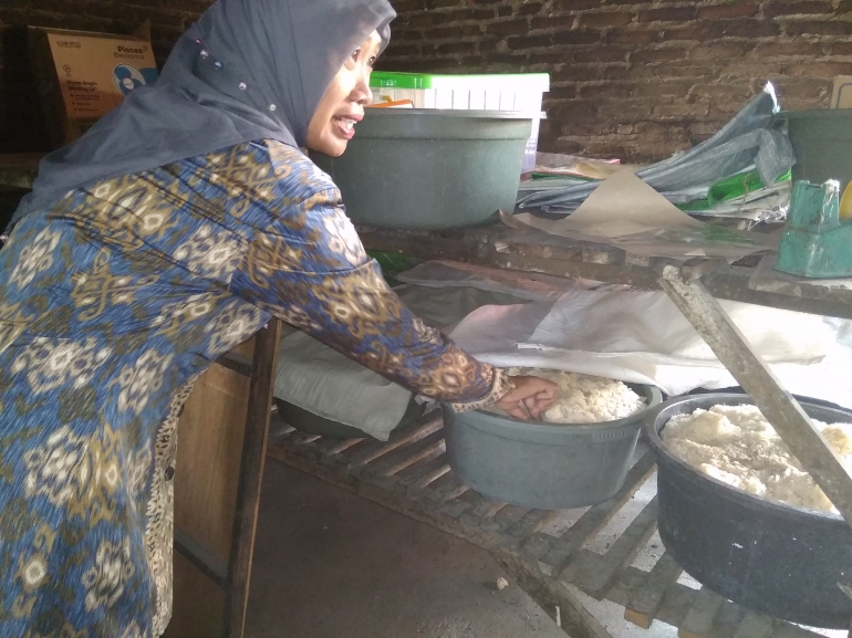 Proses fermentasi Tape di rumah produksi Brem Bu Supi doi.pri