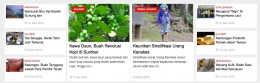 tangkapan layar portal informasi Indonesia