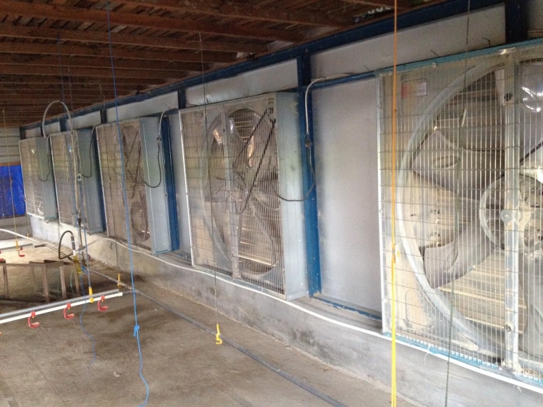 Exhaust Fan untuk kandang (dokpri)