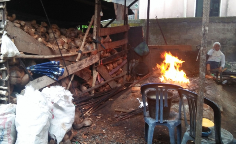 Pohon kelapa yang melimpah menjadi bahan utama pembuatan katupat Kandangan, termasuk kulit dan tempurungnya sebagai bahan bakarnya