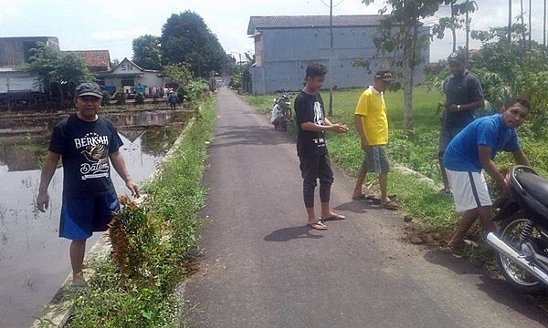 Sebagian umat Gereja St Yosep menanam pohon di tepi jalan menuju perumahan mereka.