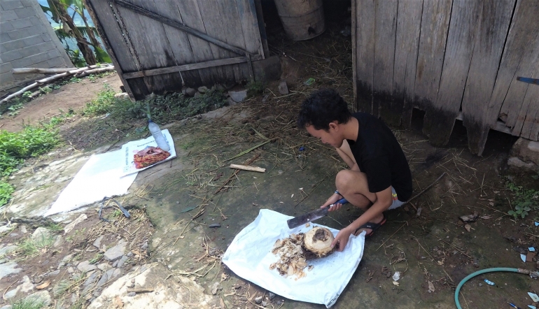 Persiapan Bahan Dasar Pupuk Organik Cair Bonggol Pisang