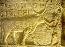 Hieroglif (dok.AFP)