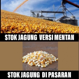 Stok jagung (meme editan pribadi) 