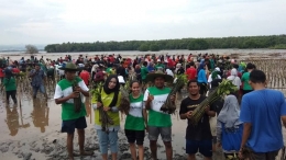 aksi menanam mangrove di pantai foto Nia Nurdiansyah