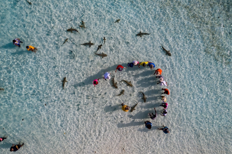 Bersama Hiu-Hiu di Pantai Wayag Difoto dengan Drone. Sumber: Dok. Pribadi
