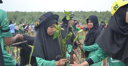 kegiatan menanam Mangrove di Mangkang   foto dok. panitia