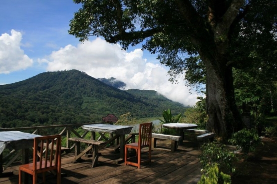 puncak Gunung Batukaru dari jalan Wanagiri, Singaraja (instagram @himammiladi)