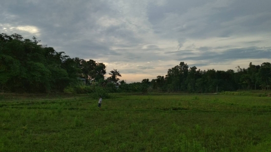 Sawah Tenjo (dok. pribadi)