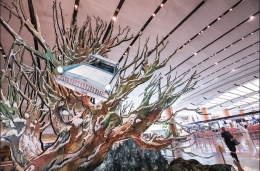 Si pohon ajaib (dok.Changi airport)