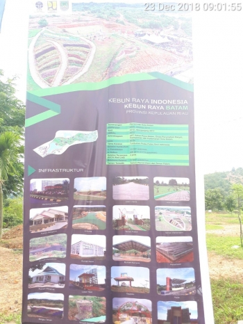 Kebun Raya Batam Kesan Pertama Begitu Menggoda Selanjutnya Kebun Raya Batam Kesan Pertama Begitu Menggoda Selanjutnya