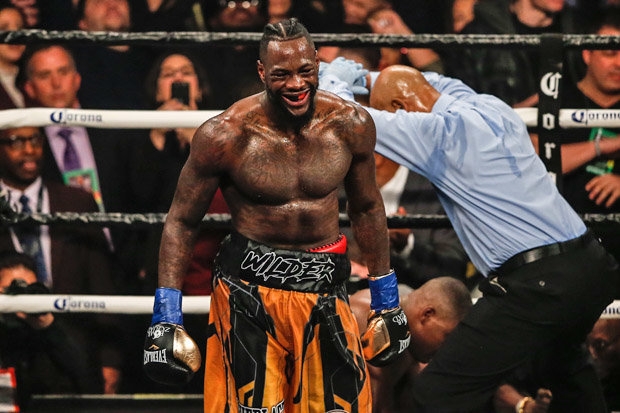 Deontay Wilder (getty images)