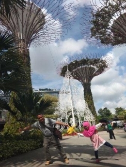 Foto. Garden By The Bay