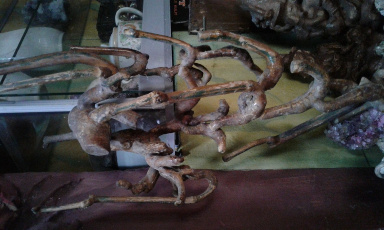 Bambu Unik ( Pang Rumit ) Ujung dan pangkal pohonnya atas bawah. Dokpri