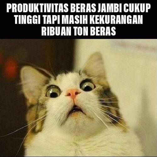 Kekurangan Ribuan Ton Beras Di Jambi Kompasiana Com