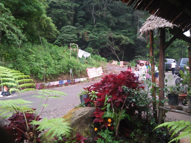 view di salah satu tikungan menanjak jalan tembus Karo-Langkat, kawasan Taman Nasional Gunung Leuser (dokpri)