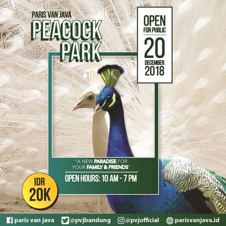 Peacock Park (courtesy of PVJ)