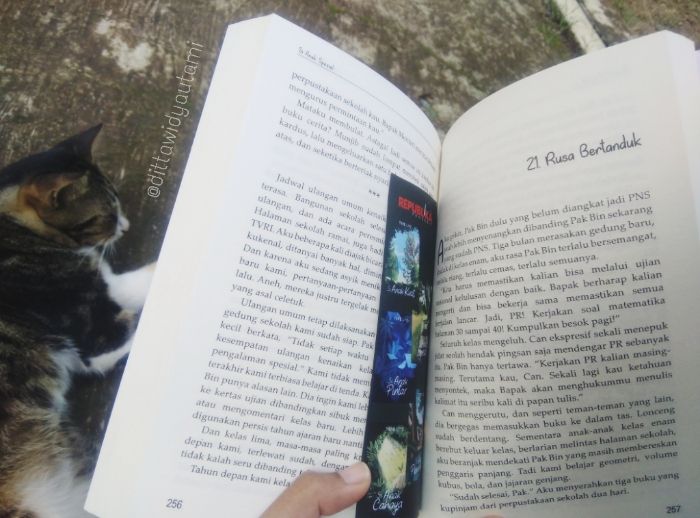 Menikmati buku di selasar rumah sambil ditemani kucing kesayangan. (Foto: Dok.Pribadi)