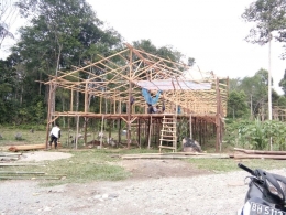 Kandang dalam proses pembangunan. Dokumen Pribadi.