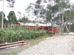 Kandang ayam milik tetangga Wo Mas. Dokumen Pribadi.