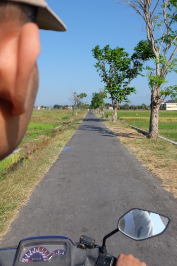 Melihat Langsung Sumber Inspirasi Gambar Legendaris Anak Sd Melihat Langsung Sumber Inspirasi Gambar Legendaris Anak Sd