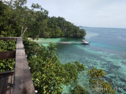 Pemandangan Laut Raja Ampat dari atas Puncak Putra Resort (foto: dokpri)