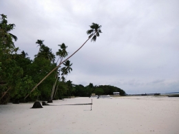 Lihatlah pasirnya yang putih halus dengan deretan pohon kelapa (dok pribadi)