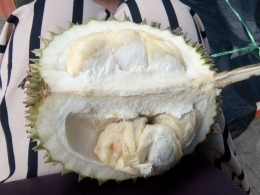 Durian Medan | Foto: Efa Butar butar