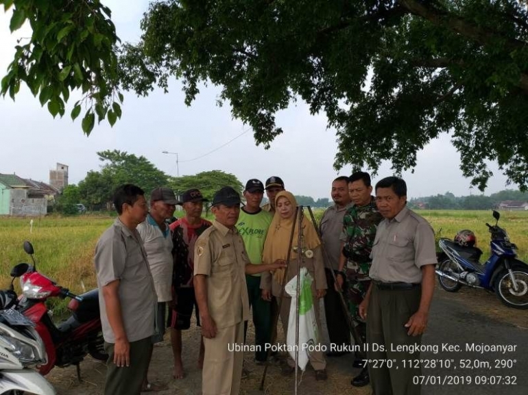 Serda Amirul Mukminin bersama Koordinator PPL Mojoanyar Supramonorini, SP Melakukan Pengubinan Padi