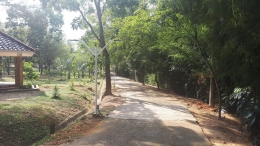 kondisi jogging track yang rindang penuh pepohonan|Dokumentasi pribadi 